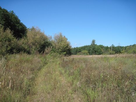 The nature of central Ukraine in summer. Fields and woodland.