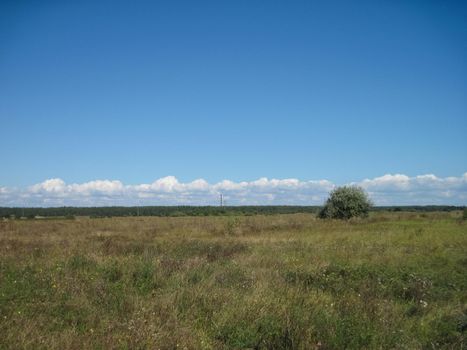 The nature of central Ukraine in summer. Fields and woodland.