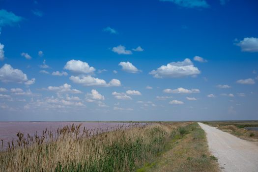 White clouds over the pink salt lake Sasyk-Sivash, Crimea