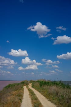 Natural landscape with a fantastic pink lake-a landmark of the Crimea.