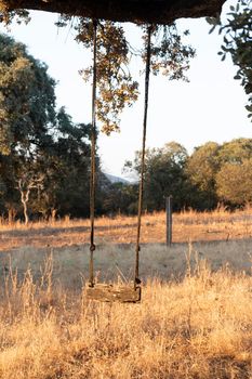 Swing in an acorn tree at sunset in southern Andalusia, Spain