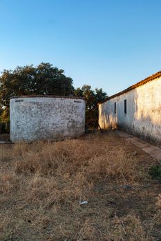 Sheep farm at sunset in southern Andalusia, Spain