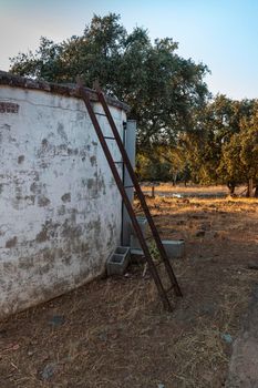 Sheep farm at sunset in southern Andalusia, Spain