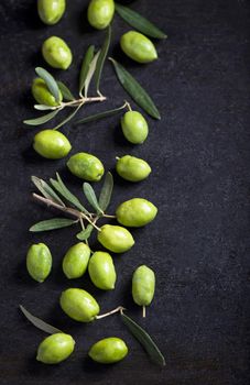 Olive oil and olive branch on the black background