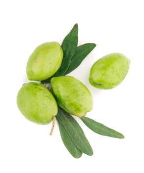 Olive fruit and olive leaves on a white background.