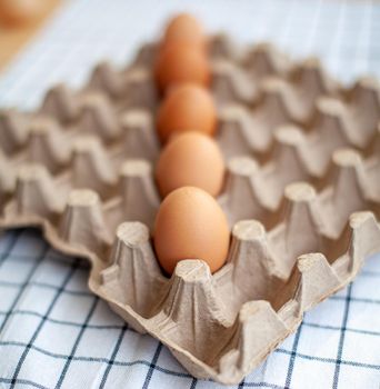 Several brown eggs lie in a row in a large cardboard bag, a chicken egg as a valuable nutritious product, a tray for carrying and storing fragile eggs