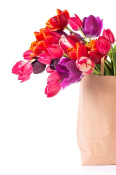 colorful tulips in a paper bag on a white background