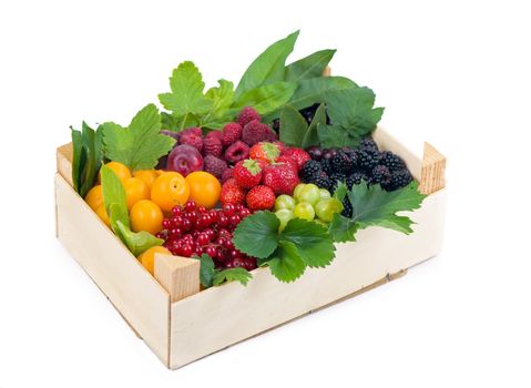 berry mix isolated on a white background.