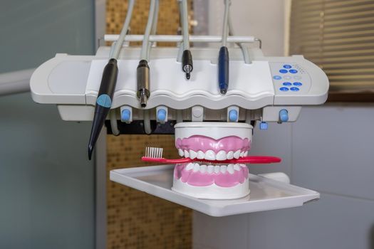 Clean teeth dental jaw model and red thooth brush on the table in dentist's office. The concept of proper oral care, caries hygiene.