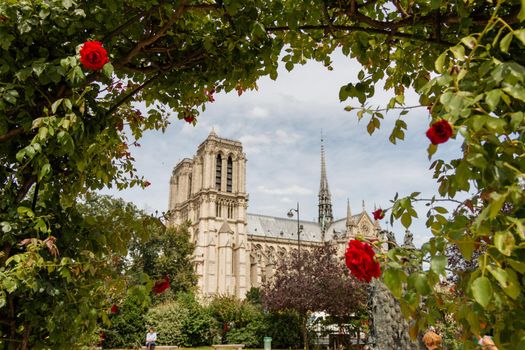 Beautiful view of arch of green leaves and red roses with Notre Dame Cathedral as background. Slightly cloudy sky above garden and ancient church from Paris, France. French landmarks