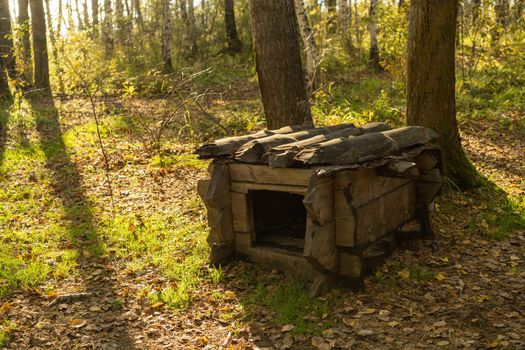 Wooden doghouse on the background of the autumn landscape among the trees