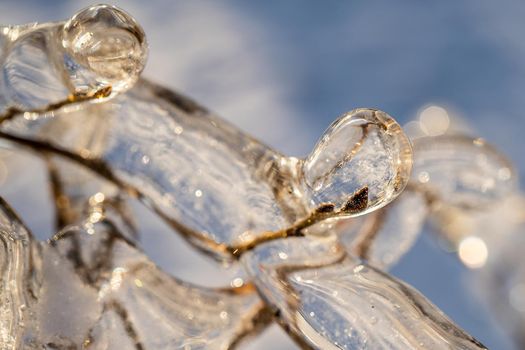 Natural background with ice crystals on plants after an icy rain.