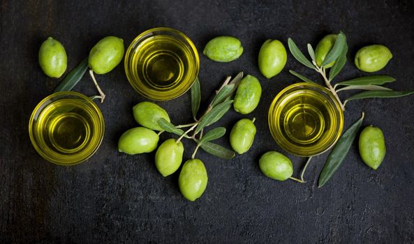 Olive oil and olive branch on the black background