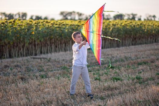 Happy little boy running with colorful kite in hands. Rural life.