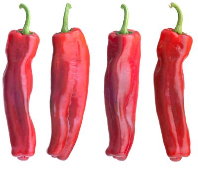 Fresh,red bell peppers from different sides isolated on white background