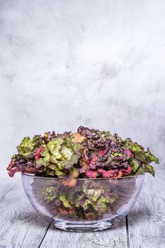 Fresh, healthy, colourfull Kalettes flower sprout on a wooden background.