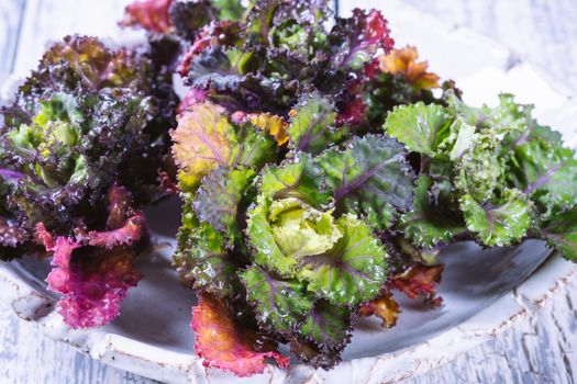 Fresh, healthy, colourfull Kalettes flower sprout on a wooden background.