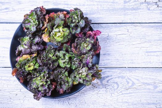 Fresh, healthy, colourfull Kalettes flower sprout on a wooden background.