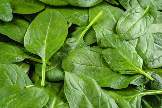Top View On Fresh Organic Spinach Leaves Healthy Green Food And Vegan Background.