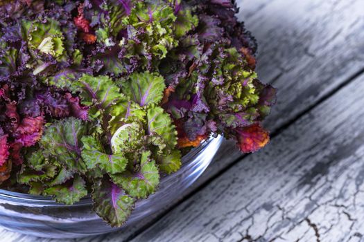 Fresh, healthy, colourfull Kalettes flower sprout on a wooden background.