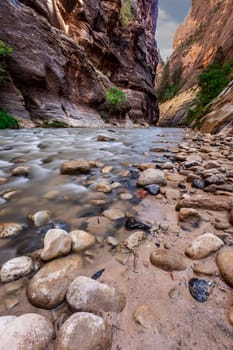 Rough river crossing at the Zion Narrows, narrow of the Virgin River, steep faces of Zion Canyon, Zion National Park, Utah, USA.