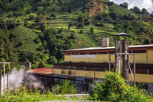 Tea factory near Karadeniz, Turkey. Endless nature with mountains and hills. Tea plantations and people harvesting crops in Rize, Turkey.
