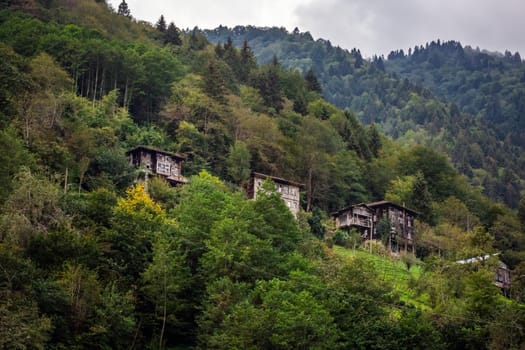 Wooden houses at the storm valley Firtina vadisi, Rize, Turkey.