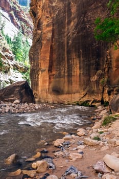 Rough river crossing at the Zion Narrows, narrow of the Virgin River, steep faces of Zion Canyon, Zion National Park, Utah, USA.
