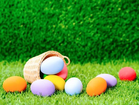 Colorful easter eggs in the basket on green grass background with copy space