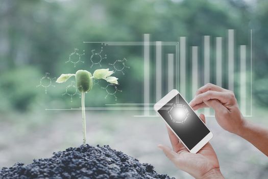 Innovation technology for smart biology, Bio, system, Agriculture management tree plants seeding, Young man hand holding smartphone with smart technology concept. 