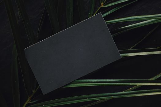 Black business card flatlay on dark stone background and green exotic leaf, luxury branding flat lay and brand identity design for mockups