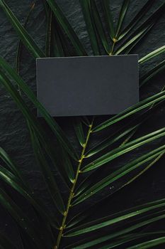 Black business card flatlay on dark stone background and green exotic leaf, luxury branding flat lay and brand identity design for mockups