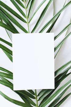 White card flatlay and green exotic leaf, luxury branding flat lay and brand identity design for mockups