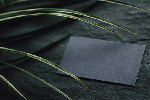 Black business card flatlay on dark stone background and green exotic leaf, luxury branding flat lay and brand identity design for mockups