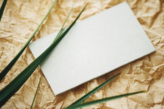 White business card flatlay on brown parchment paper background and green exotic leaf, luxury branding flat lay and brand identity design for mockups