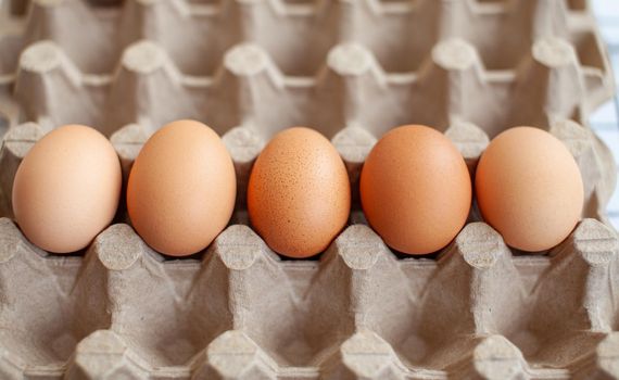 Several brown eggs lie in a row in a large cardboard bag, a chicken egg as a valuable nutritious product, a tray for carrying and storing fragile eggs