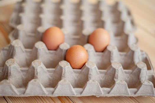 A few brown eggs among the empty cells of a large cardboard bag, a chicken egg as a valuable nutritious product, a tray for carrying and storing fragile eggs