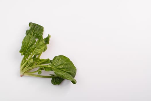 mock up made of spinach. Flat lay. Food concept. Spinach on white background.