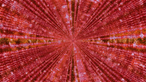 3D illustration of fractal swirling bright rays forming symmetric kaleidoscope pattern as abstract background