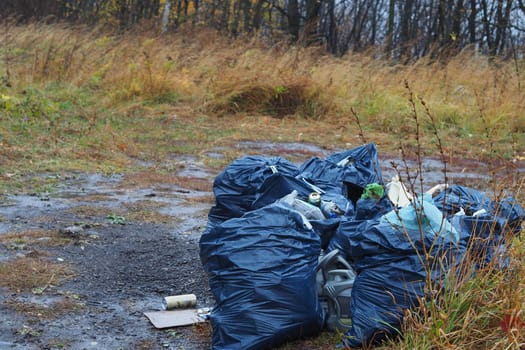 Garbage dump in the woods. Garbage bags. It's an environmental problem.