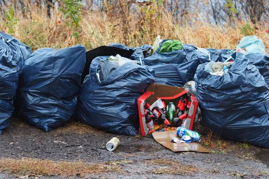 Garbage dump in the woods. Garbage bags. It's an environmental problem.