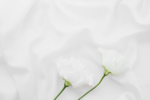 White rose flowers on silk fabric as bridal flatlay background, wedding invitation and holiday branding, flat lay design concept