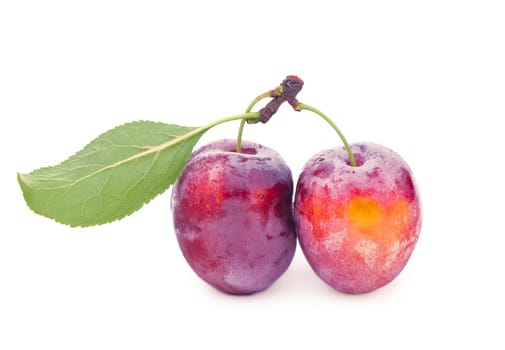 Ripe plums with leaves close up on white background.