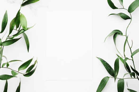 Blank white card, green leaves on white background as botanical frame flatlay, wedding invitation and holiday branding, flat lay design concept