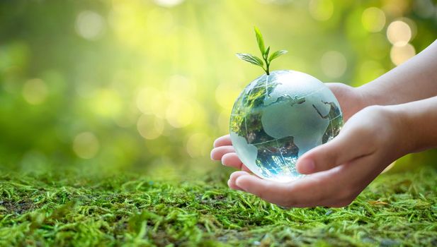 A man with a glass globe Concept day earth Save the world save environment The world is in the grass of the green bokeh background