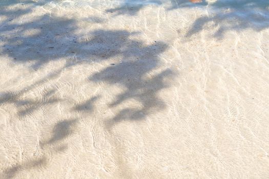Shadow of tree leaves on the tropical beach in summer.