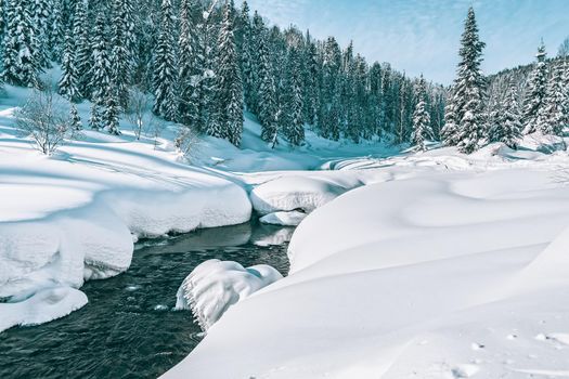 Winter landscape with a mountain stream going through the snow into the depths of a pine forest