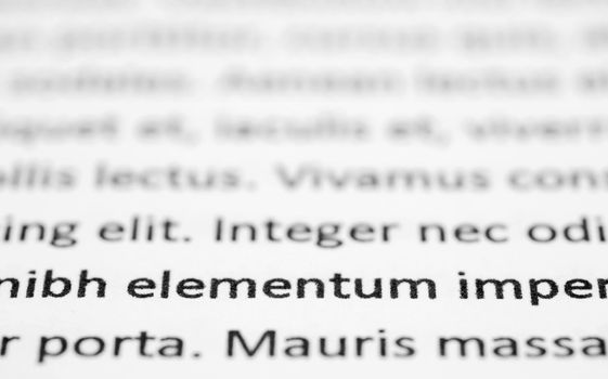 Closeup of lorem ipsum text on white paper, focused on foreground words.