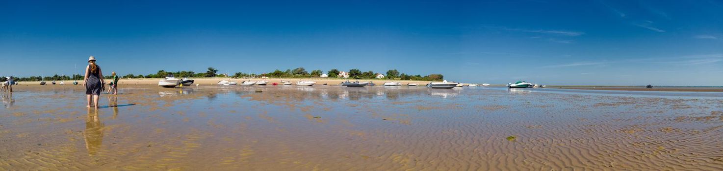 Panorama of people looking for crustaceans at low tide in Les Portes-en-Ré on the isle of ile de re in France and some boats laying on the sand.