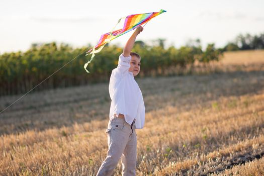 The boy holds the kite at arm's length up. Rural landscape. A field with dry grass.